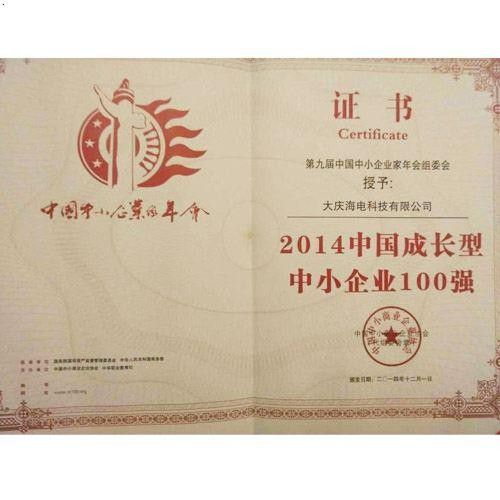 中國中小企業(yè)百強證書